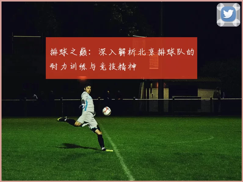 排球之巅：深入解析北京排球队的耐力训练与竞技精神