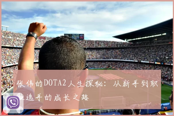 张伟的DOTA2人生探秘：从新手到职业选手的成长之路