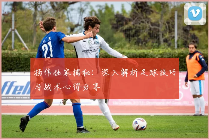 杨伟独家揭秘：深入解析足球技巧与战术心得分享