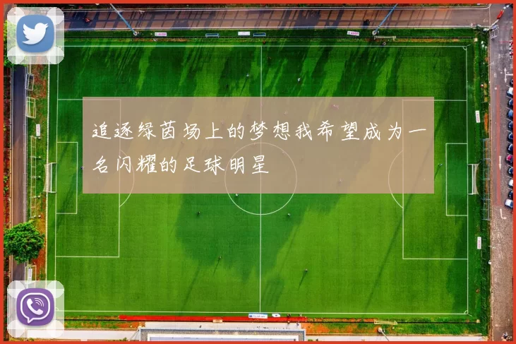 追逐绿茵场上的梦想我希望成为一名闪耀的足球明星