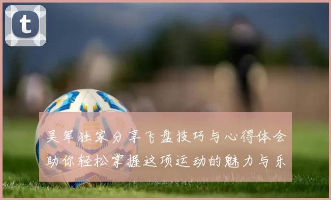吴军独家分享飞盘技巧与心得体会助你轻松掌握这项运动的魅力与乐趣