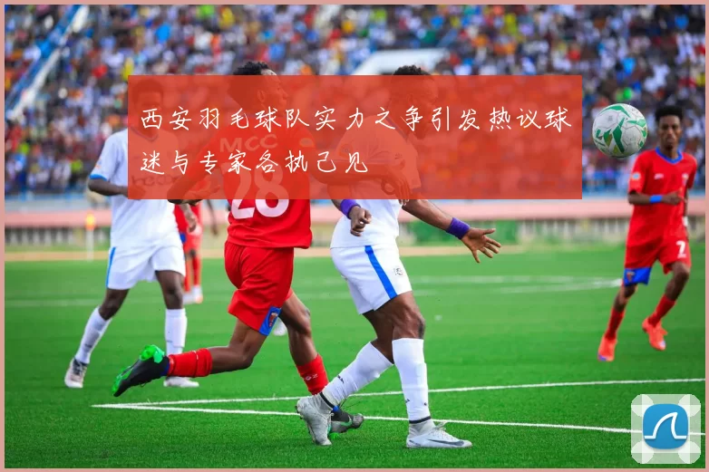 西安羽毛球队实力之争引发热议球迷与专家各执己见