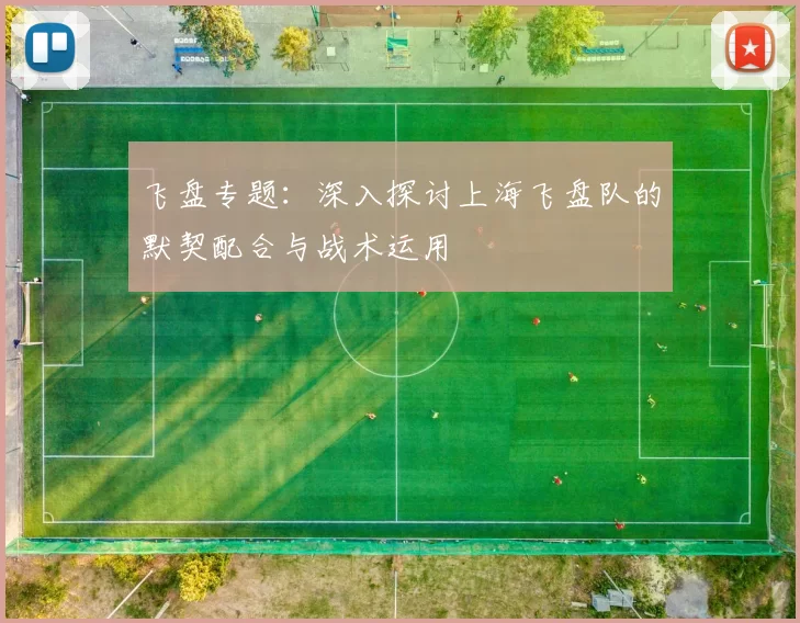 飞盘专题：深入探讨上海飞盘队的默契配合与战术运用