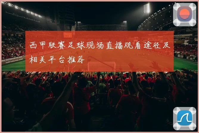 西甲联赛足球现场直播观看途径及相关平台推荐