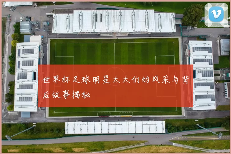 世界杯足球明星太太们的风采与背后故事揭秘