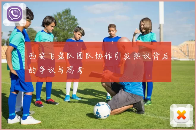 西安飞盘队团队协作引发热议背后的争议与思考