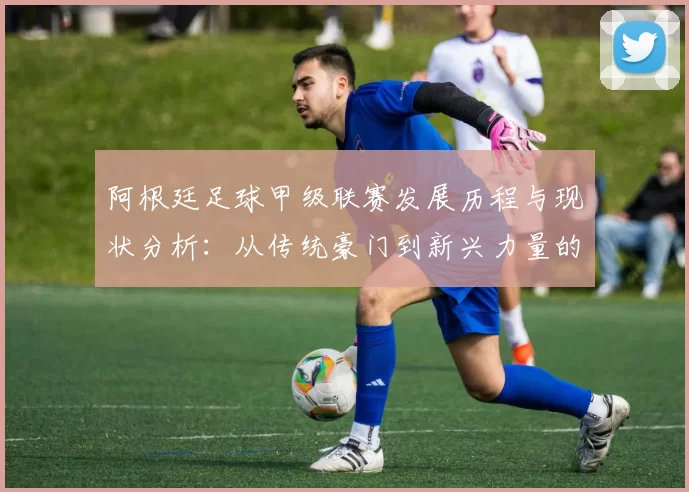 阿根廷足球甲级联赛发展历程与现状分析：从传统豪门到新兴力量的崛起